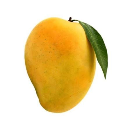 Fresh Mango