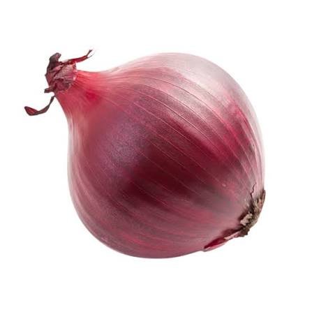 Fresh Onion
